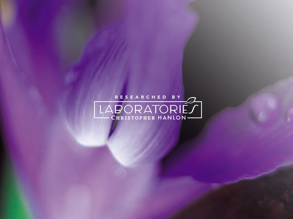 2x BUSH MINT + TASMANIAN LAVENDER | SHEABUTTER HAND WASH + HAND BALM - CHRISTOPHER HANLON® Shower Gels | Hand Wash + Balm (Im